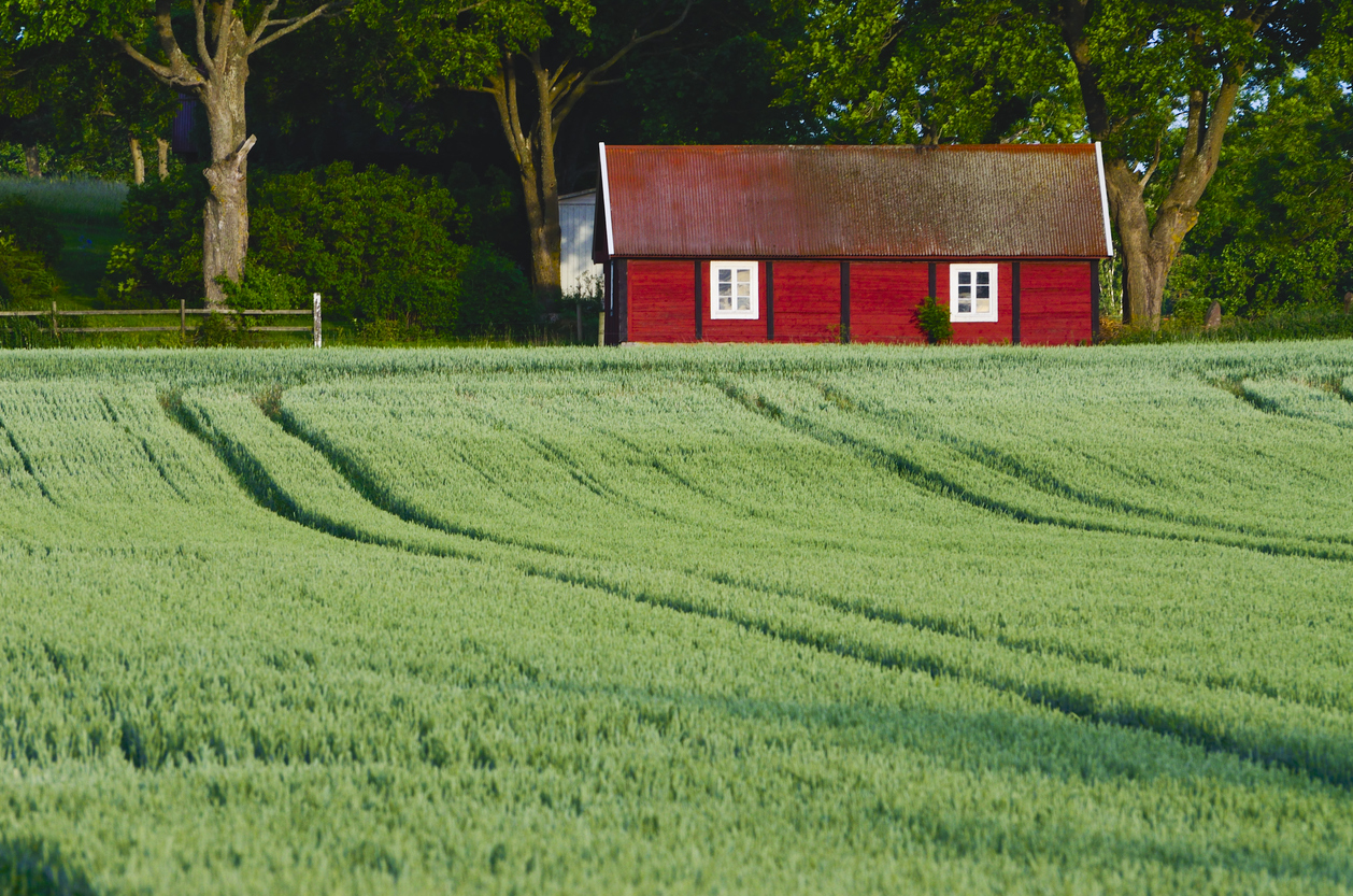 Rött hus på sommaräng